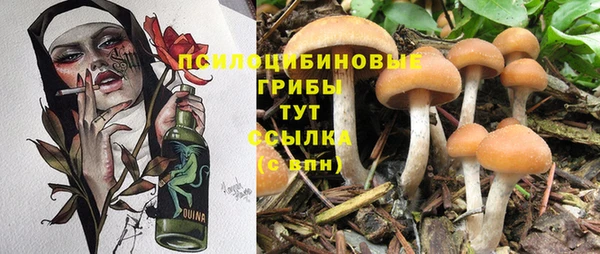 амф Михайловск